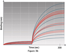 Binding Data Measurement Binding Data Measurement