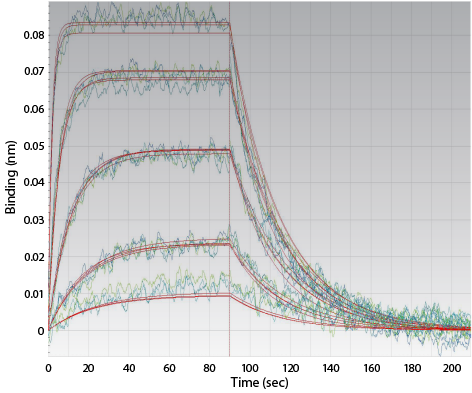 Octet RED96e Small molecule kinetics Octet RED96 kinetic anaylsis data