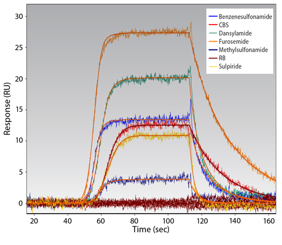 OneStep Kinetic Analysis