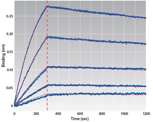 Octet RED96e Large molecule characterization Octet RED96 kinetic anaylsis data