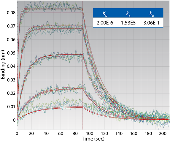 Characterization of Small Molecule