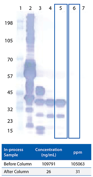 Sample data from a major US pharmaceutical company