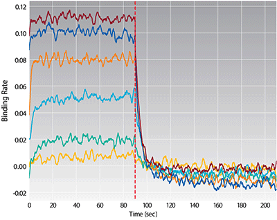 Small Molecule Kinetics Small Molecule Kinetics