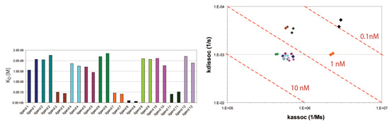 Different Kinetic Properties