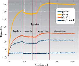 Real-time binding chart of pH scouting of immobilized HA-GST to an interacting antibody.