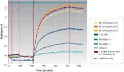 Real-time binding chart of regeneration conditions run in parallel on the Octet QK System.