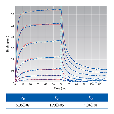 FAB2G Kinetic Analysis