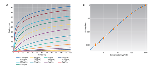 Anti-Human Fab-CH1 2nd Generation Biosensors Analysis