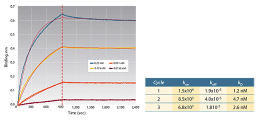 GST Protein Analysis