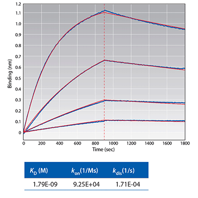 HIS1K kinetic Analysis