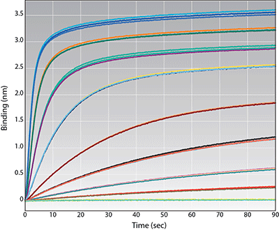 His-Tagged Proteins for Kinetic Analysis