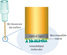 Octet Biosensors and Assay Kits