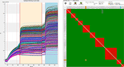 Epitope Binning Assays