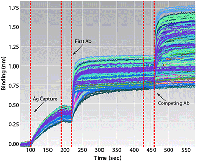 Epitope Binning Analysis