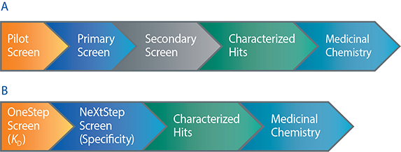 Conventional SPR-based fragment screening workflow