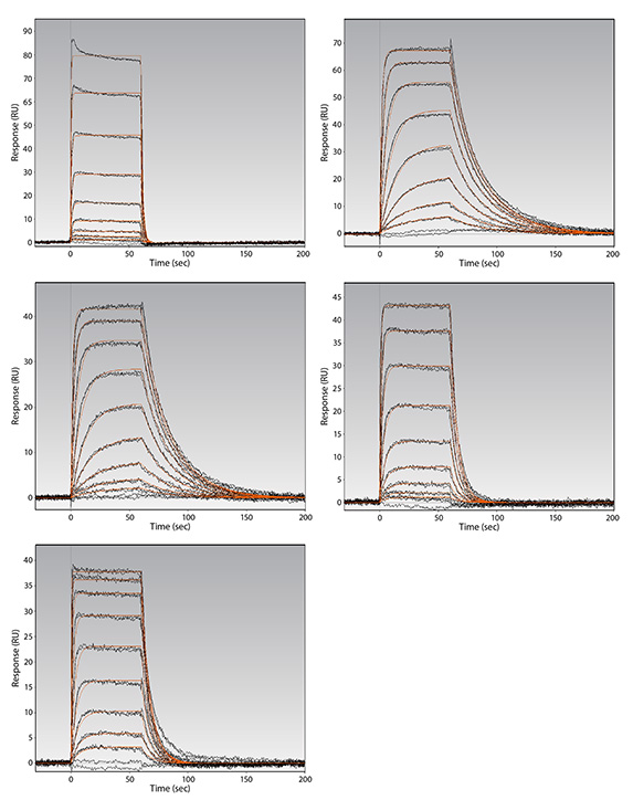 Analysis of sulfonamide inhibitors binding Carbonic anhydrase II