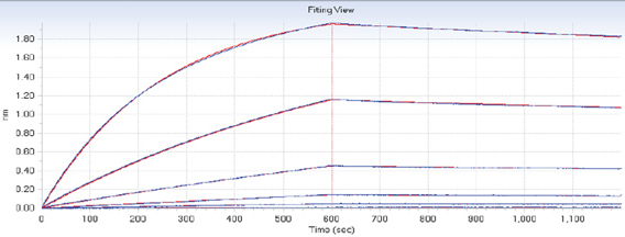Kinetic Characterization