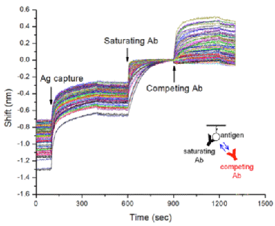 Epitope Binning